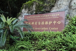 仙湖植物园
