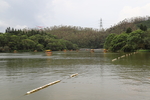 仙湖植物园-仙湖