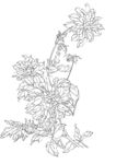 大丽花
