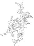花卉线稿