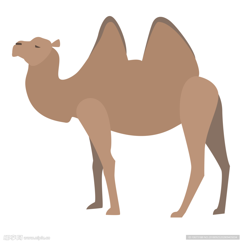 透明底骆驼