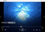 海底世界气泡珊瑚鱼