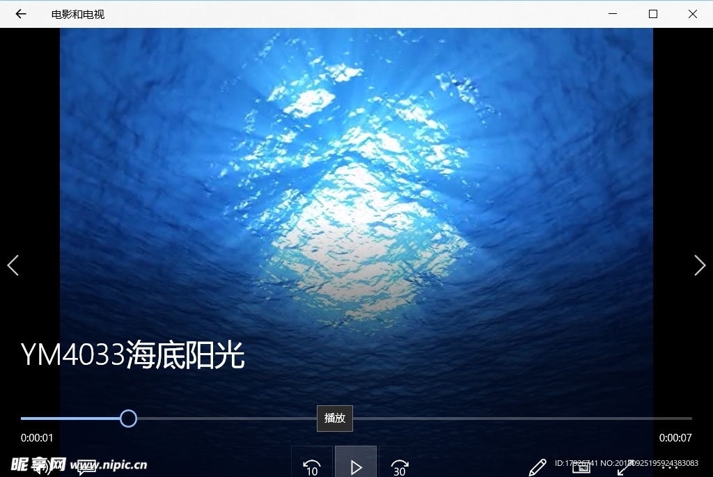 海底世界气泡珊瑚鱼