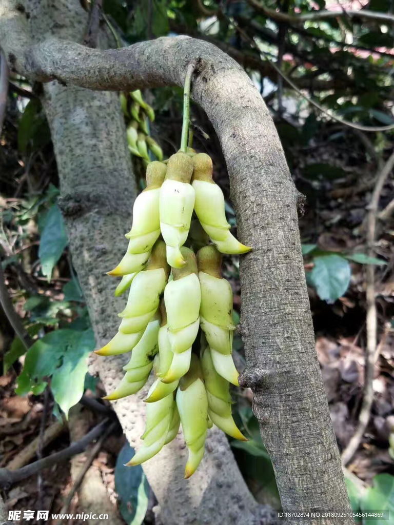 果