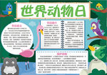 动物小报
