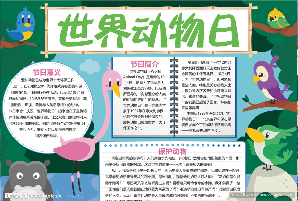 动物小报