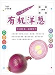 洋葱海报