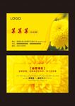 黄色时尚皇菊菊花名片
