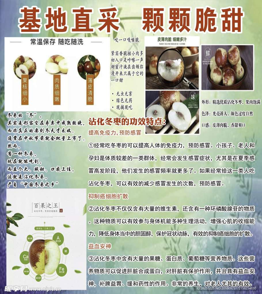 沾化冬枣