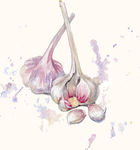 水彩蔬菜图片