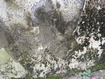 石 岩石 石壁 肮脏 斑驳