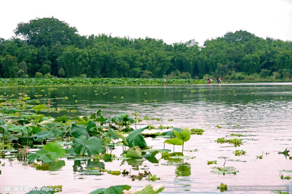 盈江县香额湖风光