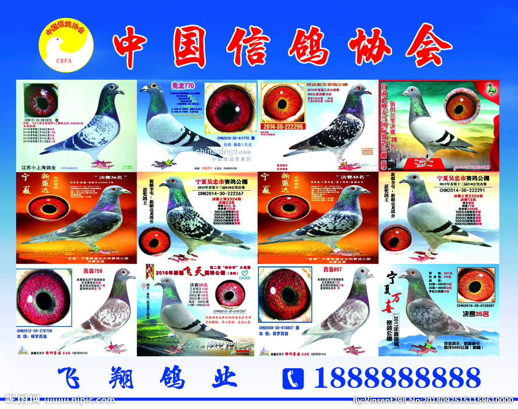 职业赛鸽讲座(五/图)-信鸽园地-中国信鸽信息网