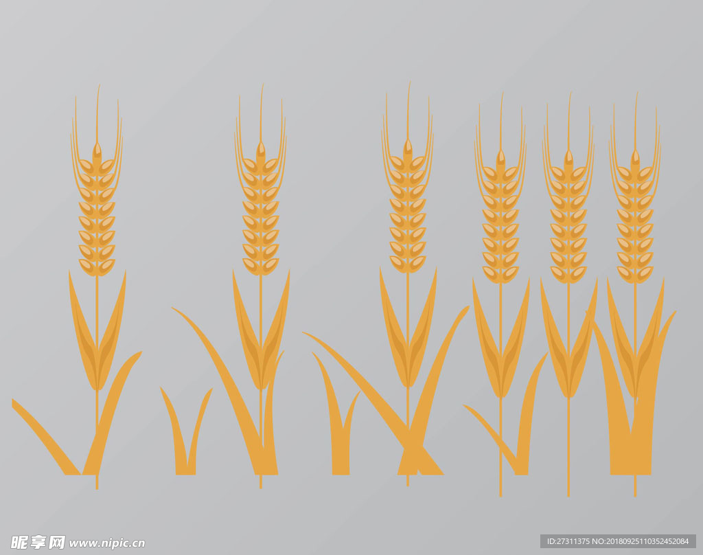 卡通麦穗图片