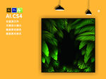 植物背景