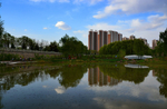 公园景色