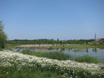 公园美景