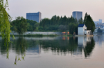 公园景色