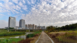 公园外景