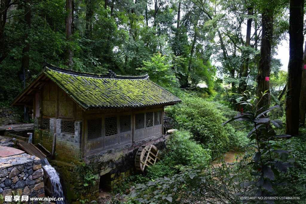 森林木屋