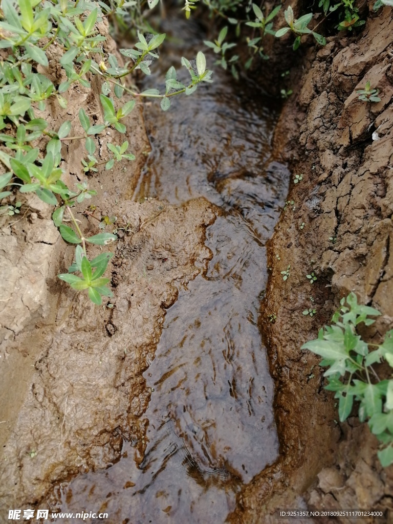 小水沟 水沟 流水