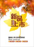 新品上市 新品 新品发布