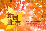 新品上市 新品 新品发布