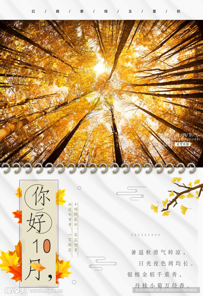 你好10月