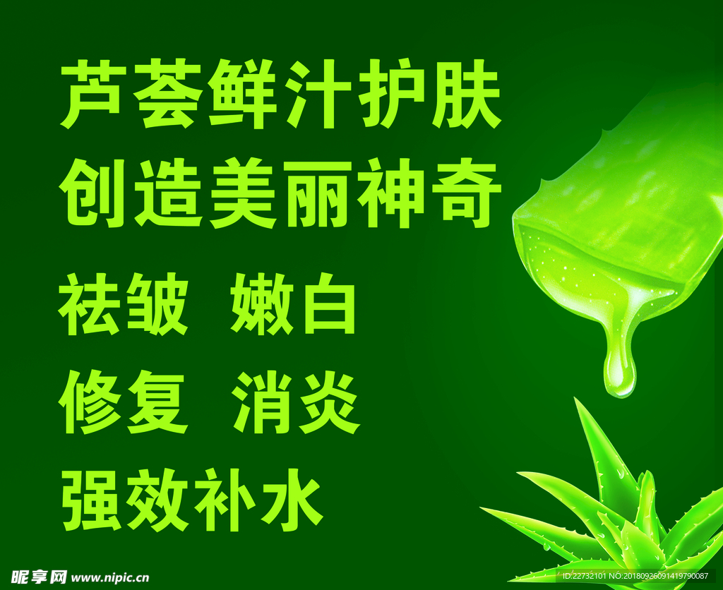 芦荟