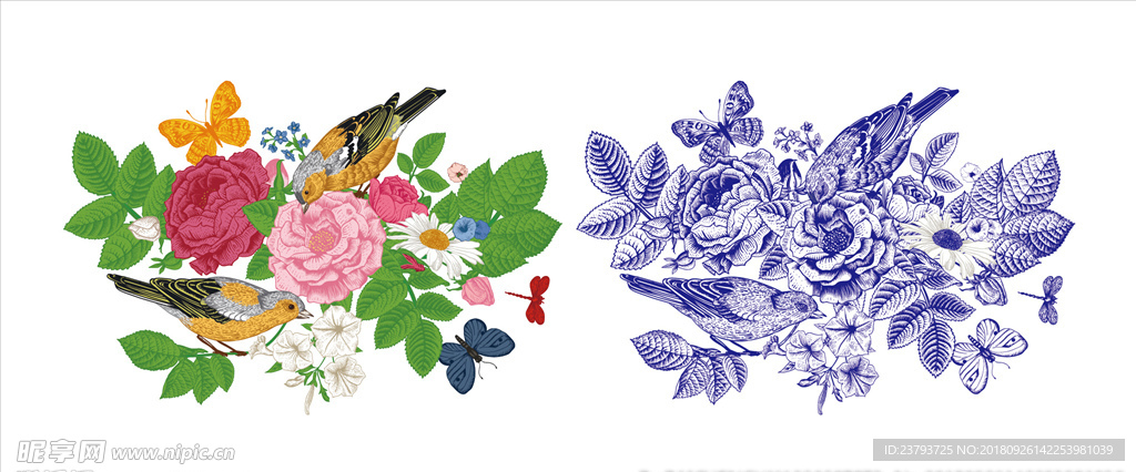 花鸟矢量素材