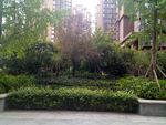 人文社区