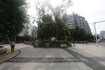 人文社区