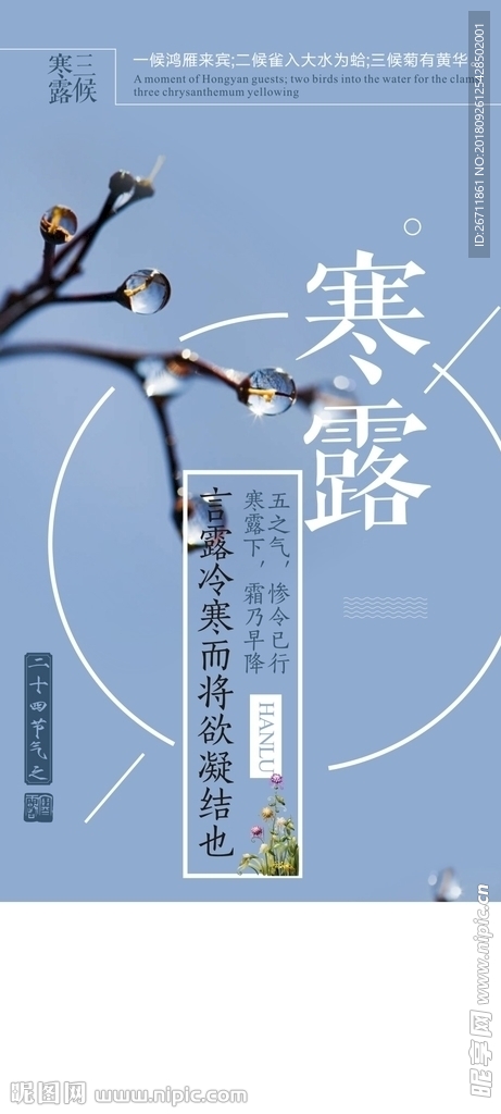 寒露海报