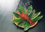 大龙虾