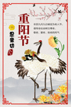 九九重阳简约海报