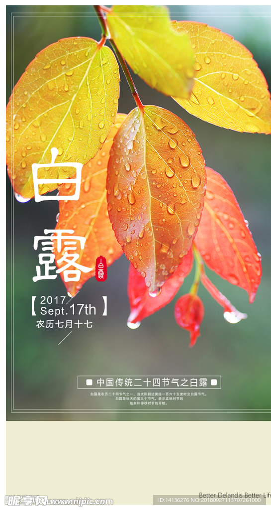 白露