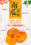 新鲜南瓜海报