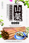 山药海报