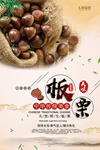 板栗海报