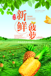 新鲜菠萝海报