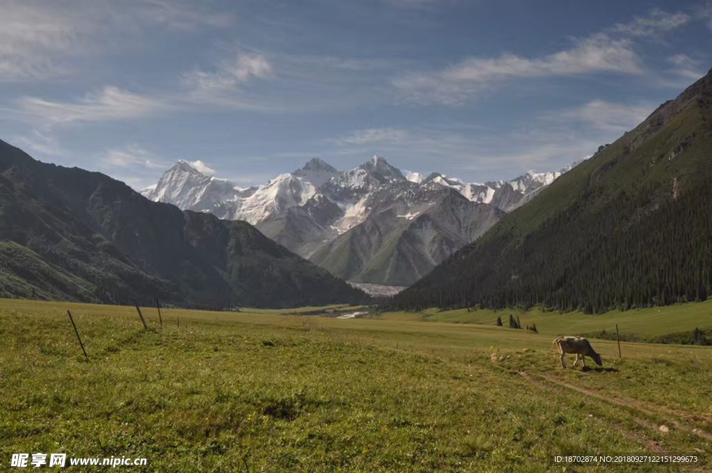 高原风景