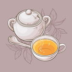 茶具插画