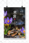 寒露