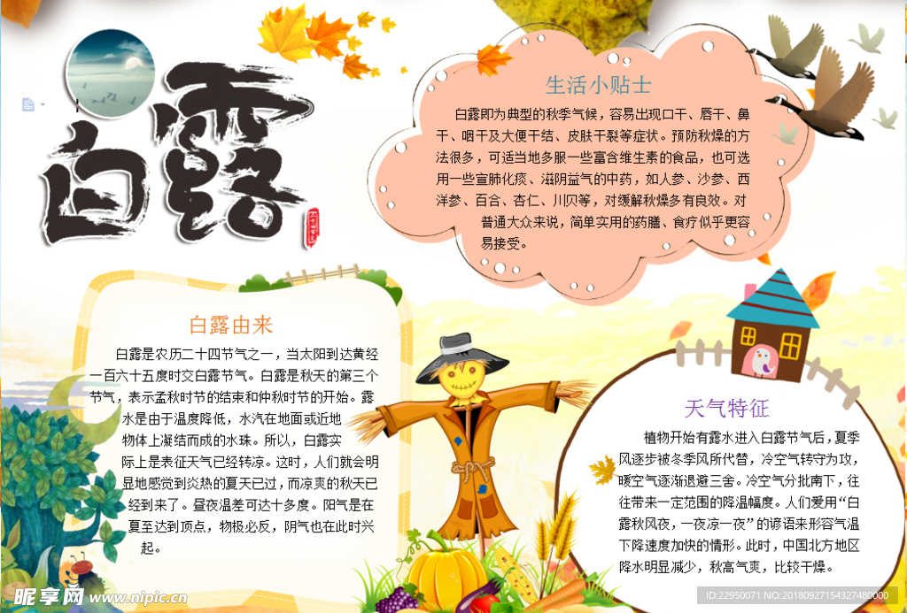学生小报