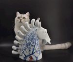 猫与瓷器
