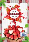 草莓宣传单2