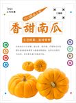 南瓜海报