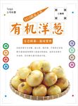 洋葱海报