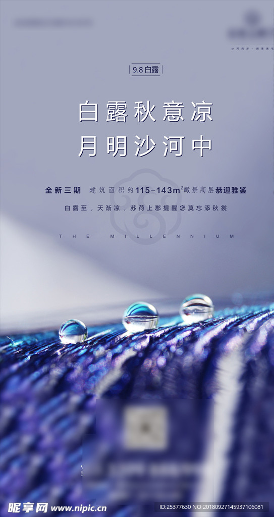 寒露海报