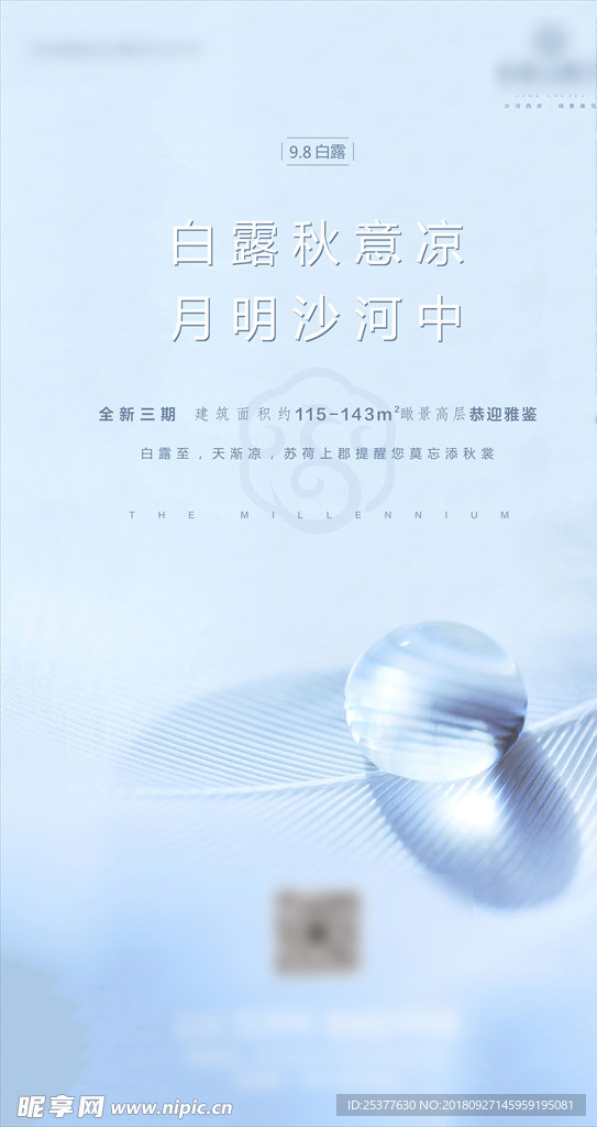 寒露海报